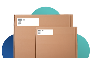 Express Delivery